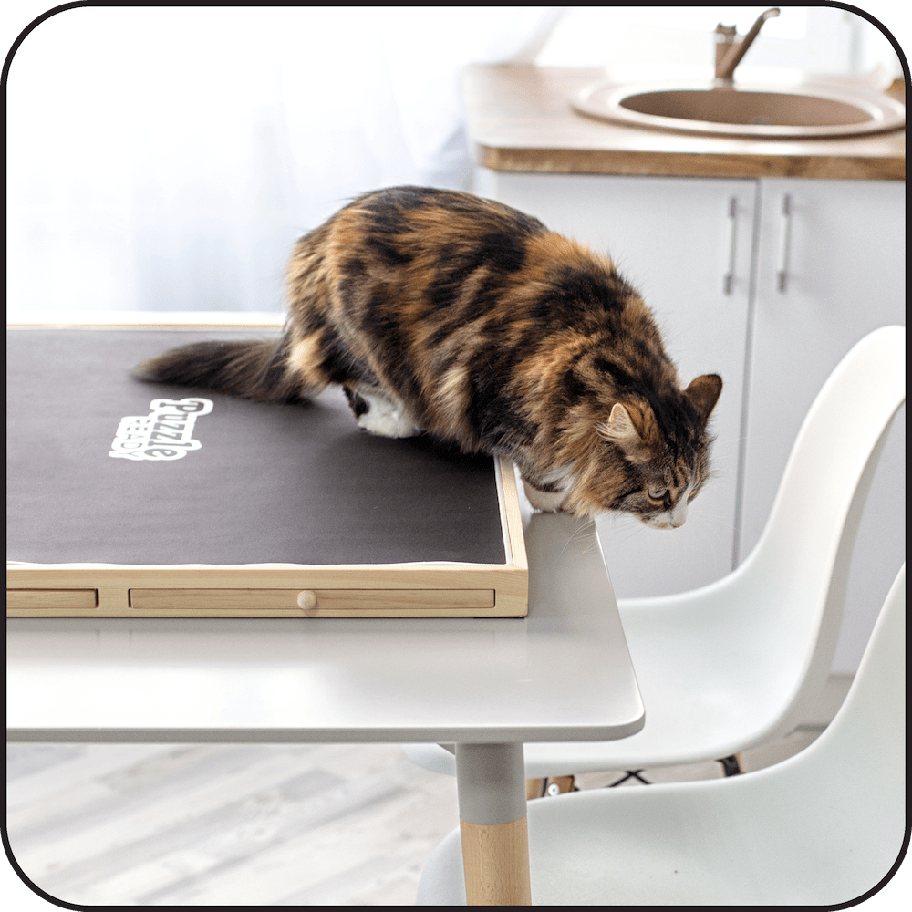 Raccoglitore Per Puzzle Callroon Puzzle Storage Book 85 X 66,3 Cm, 20 Tasche, Puzzle Da Protezione Puzzle A Lungo Termine Raccoglitore Per Puzzle Callroon Puzzle Storage Book 85 X 66,3 Cm, 20 Tasche, Puzzle Da Protezione Puzzle A Lungo Termine